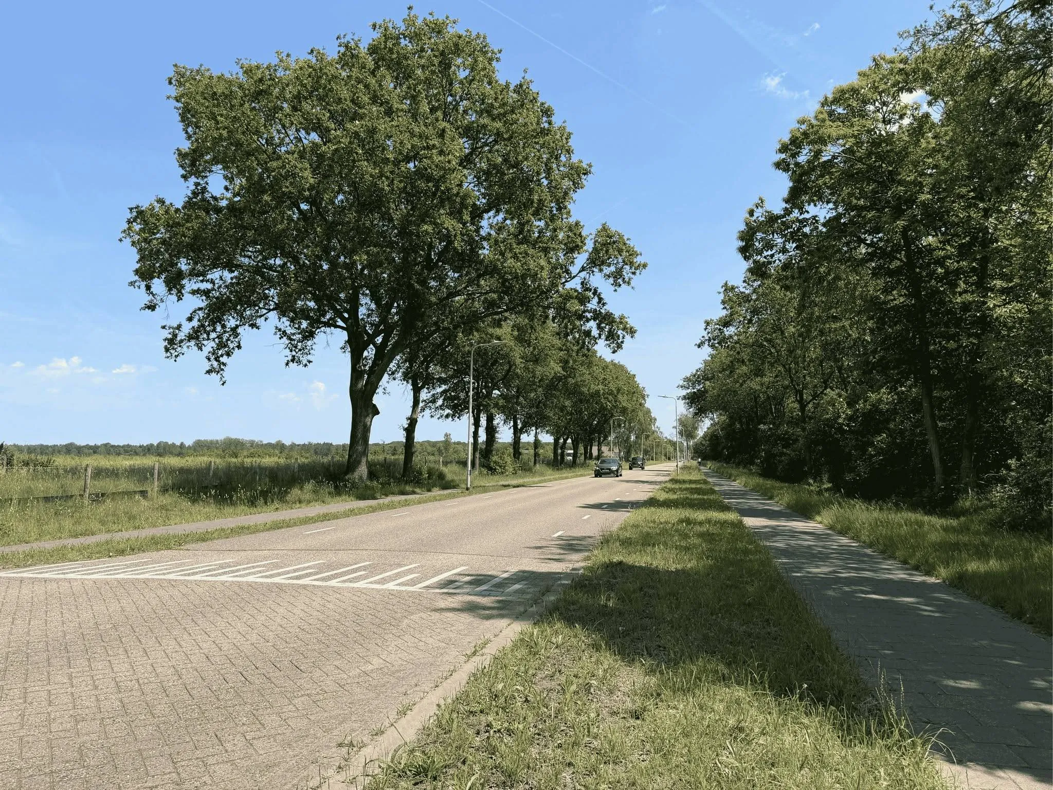 717257668_1422741196556487_7513487853095568591_n