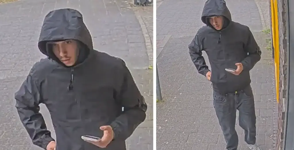 Pinfraude Rijen