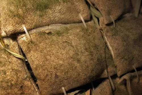 beijing egg home grass bags