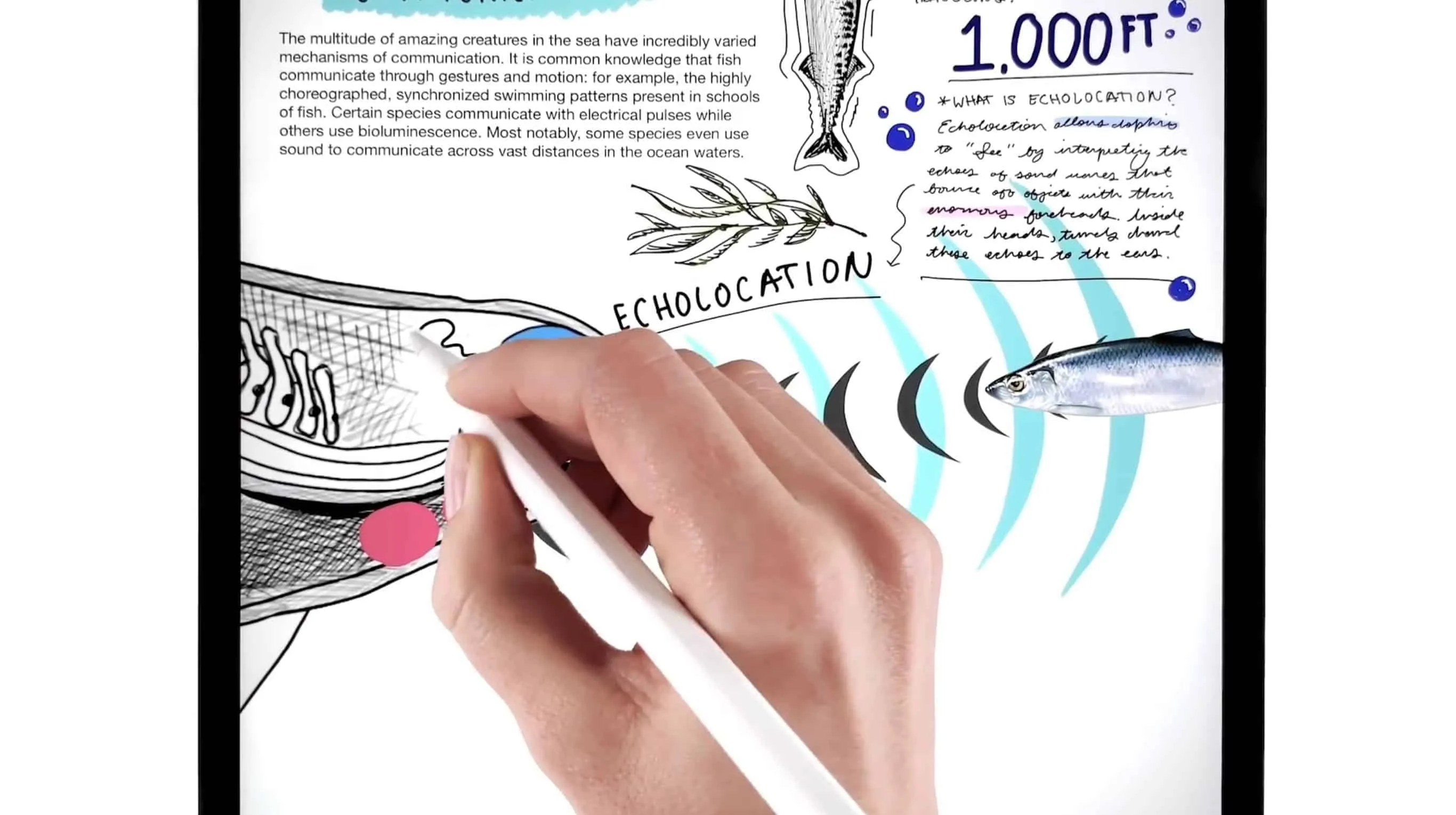 cbac46db d93a 4f3b 9026 aa189297f7ea