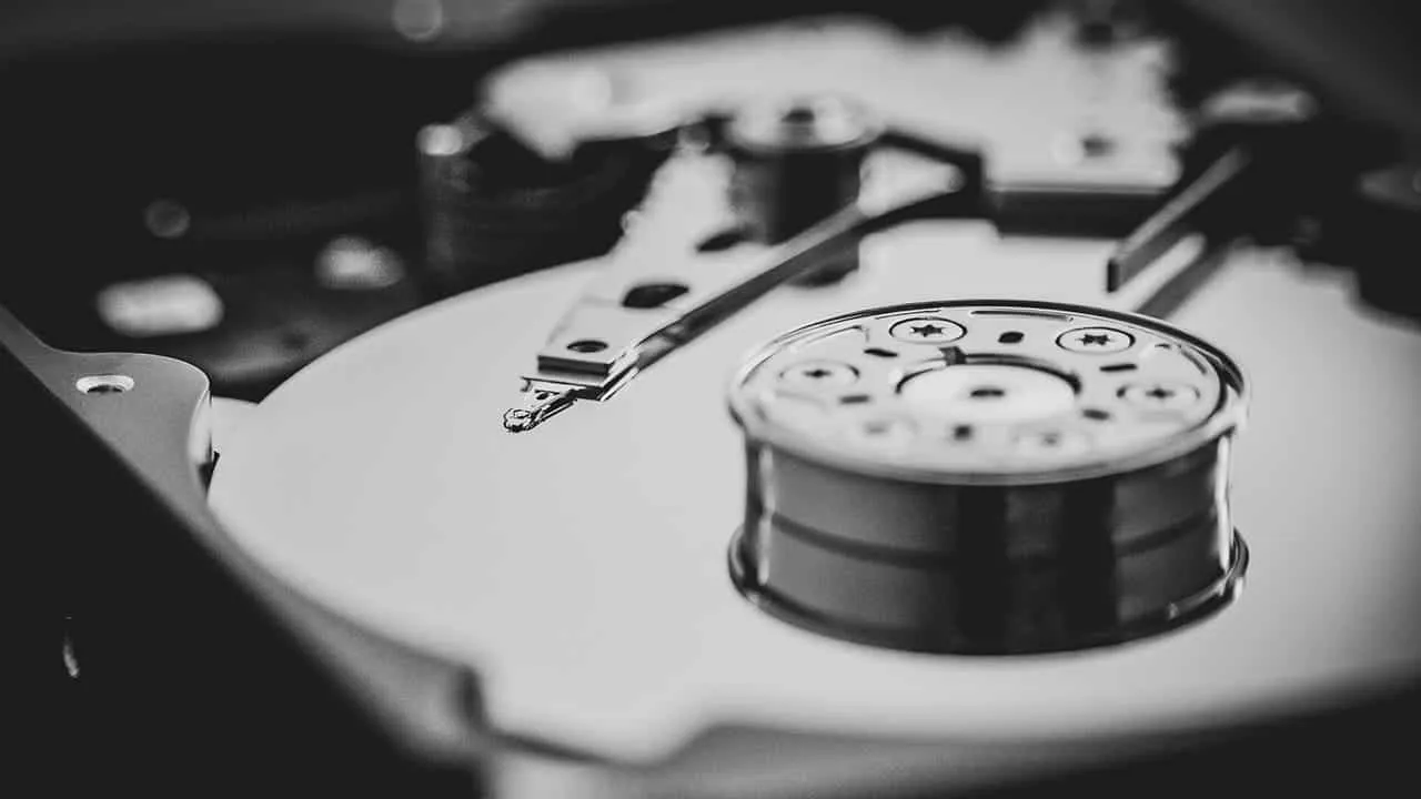 denny muller 4u6tubrefc0 unsplash