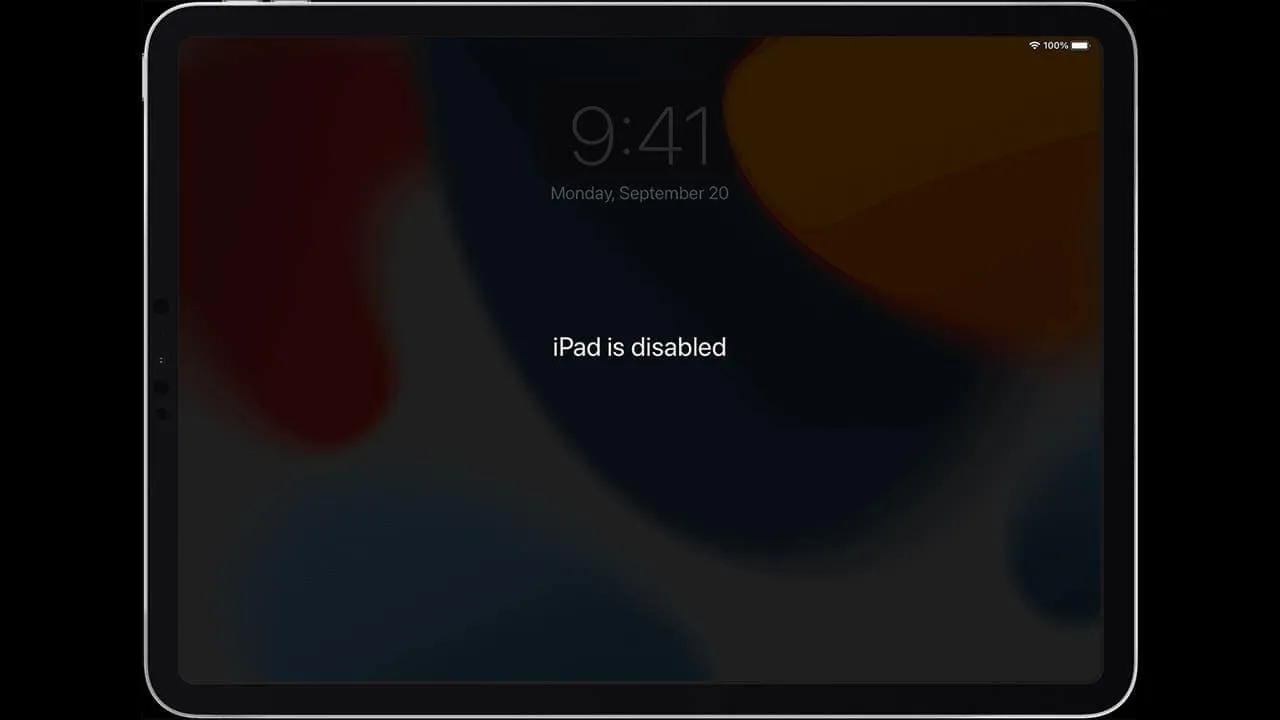 disabled ipad