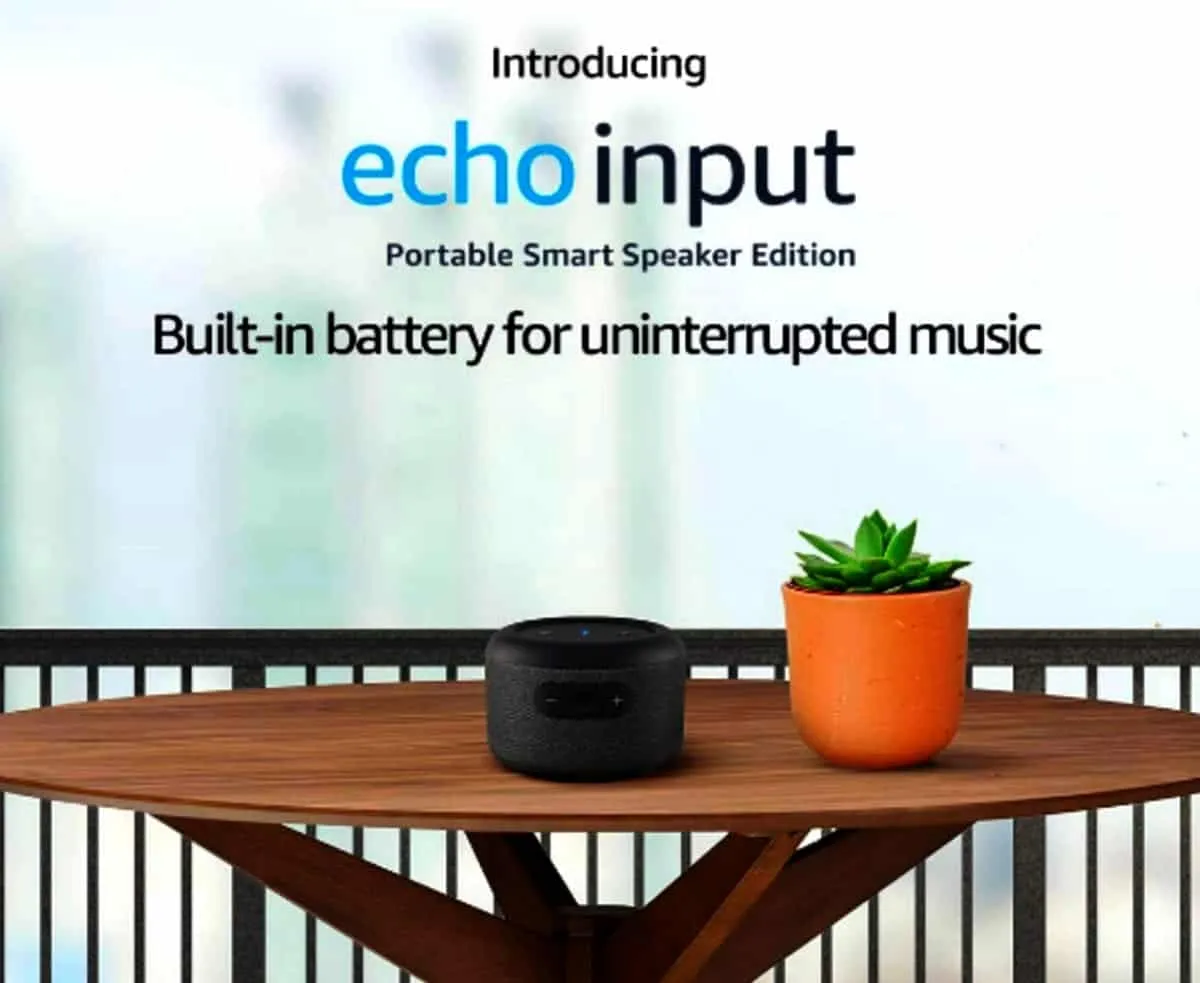 echoinput