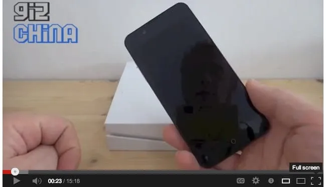 faea f1 penguin video review