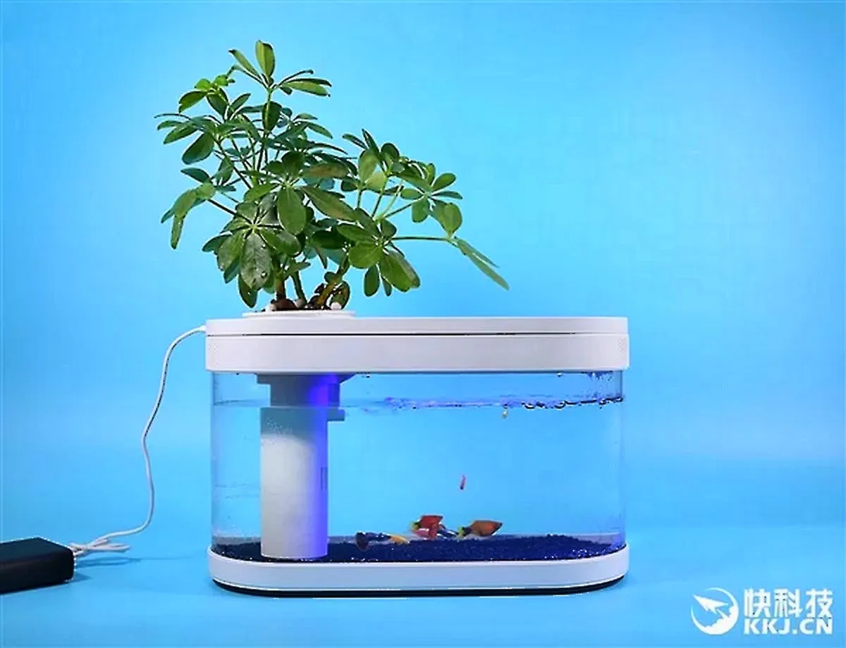 fishtankbyxiaomi