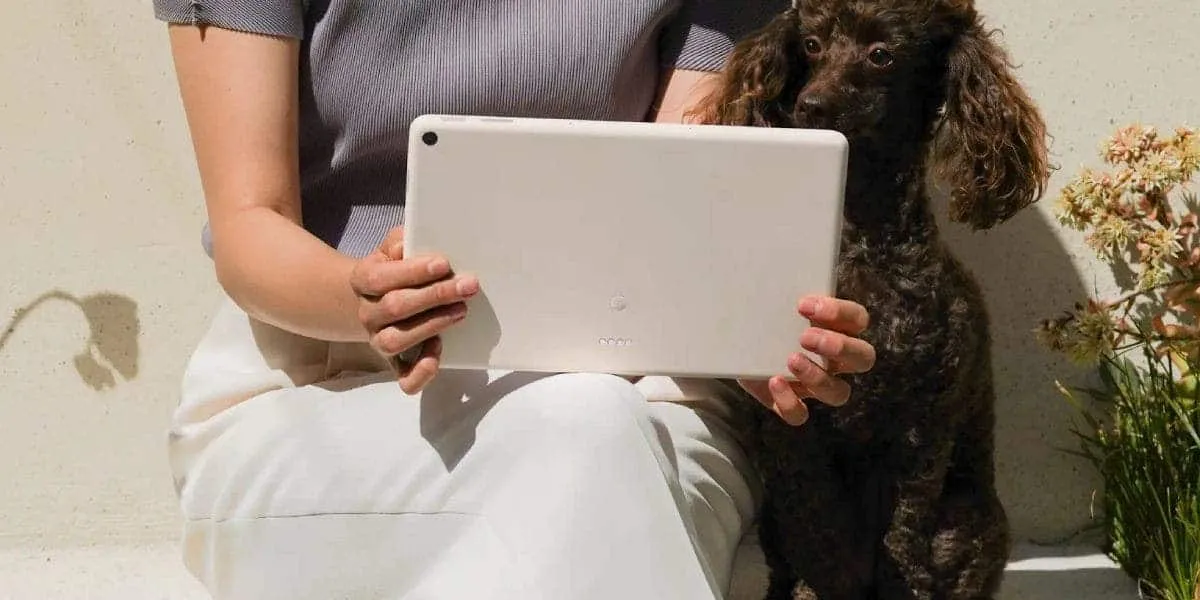 googles first tablet might dethrone ipad in terms of value