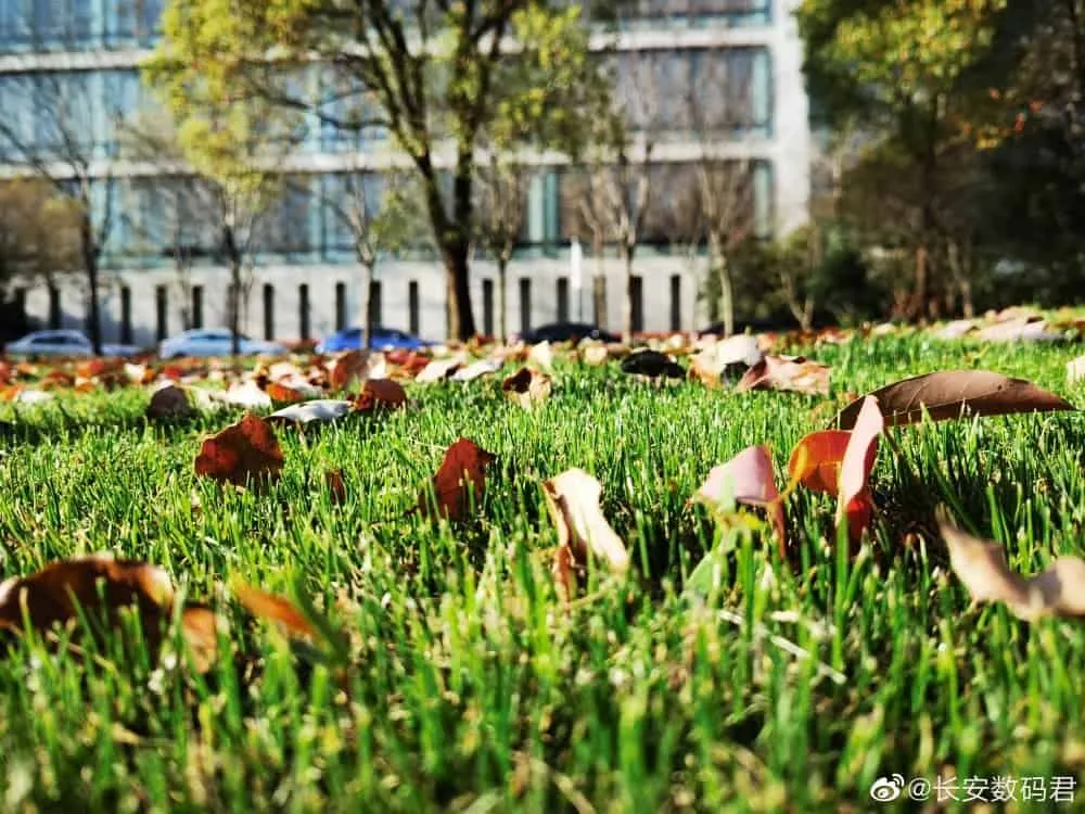 huawei p40 series camera sample picture