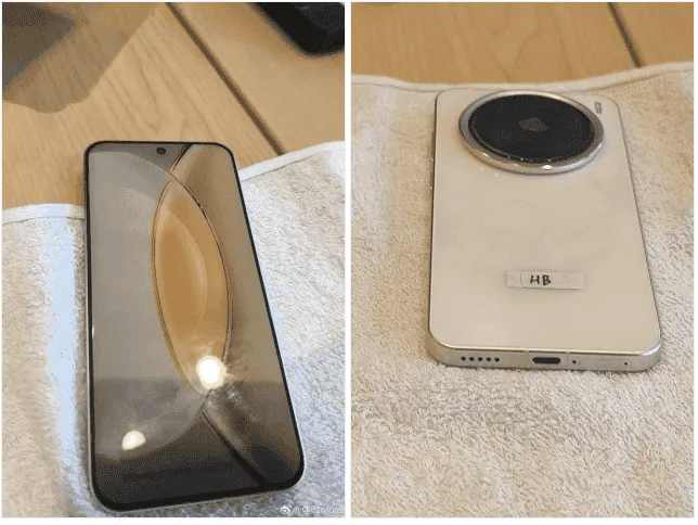 image 2024 09 03 121818636