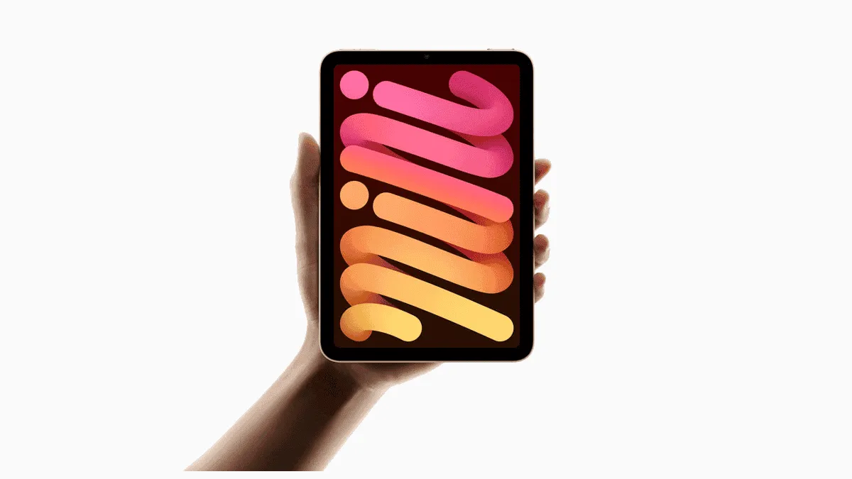 image 2024 10 23 130216417