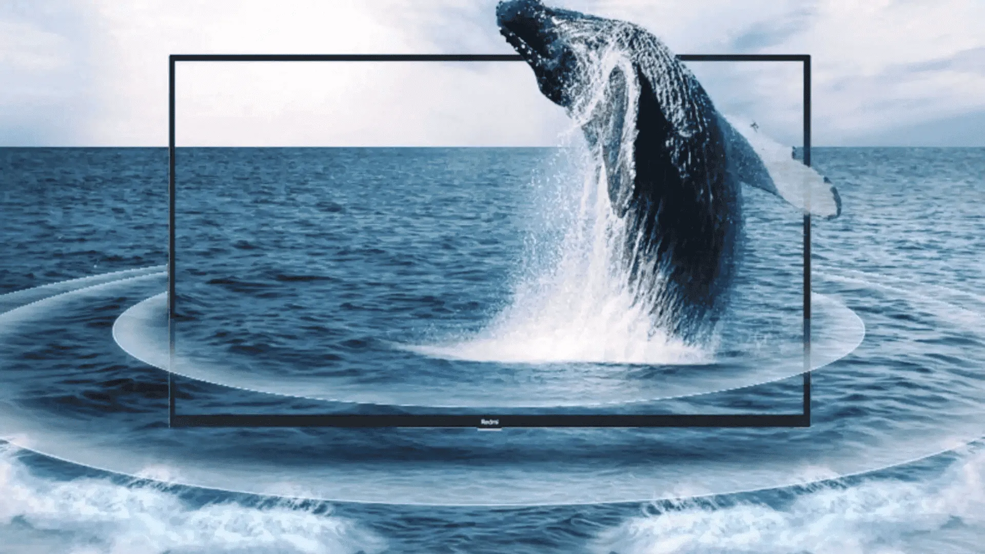 imagem 2022 01 30 105352