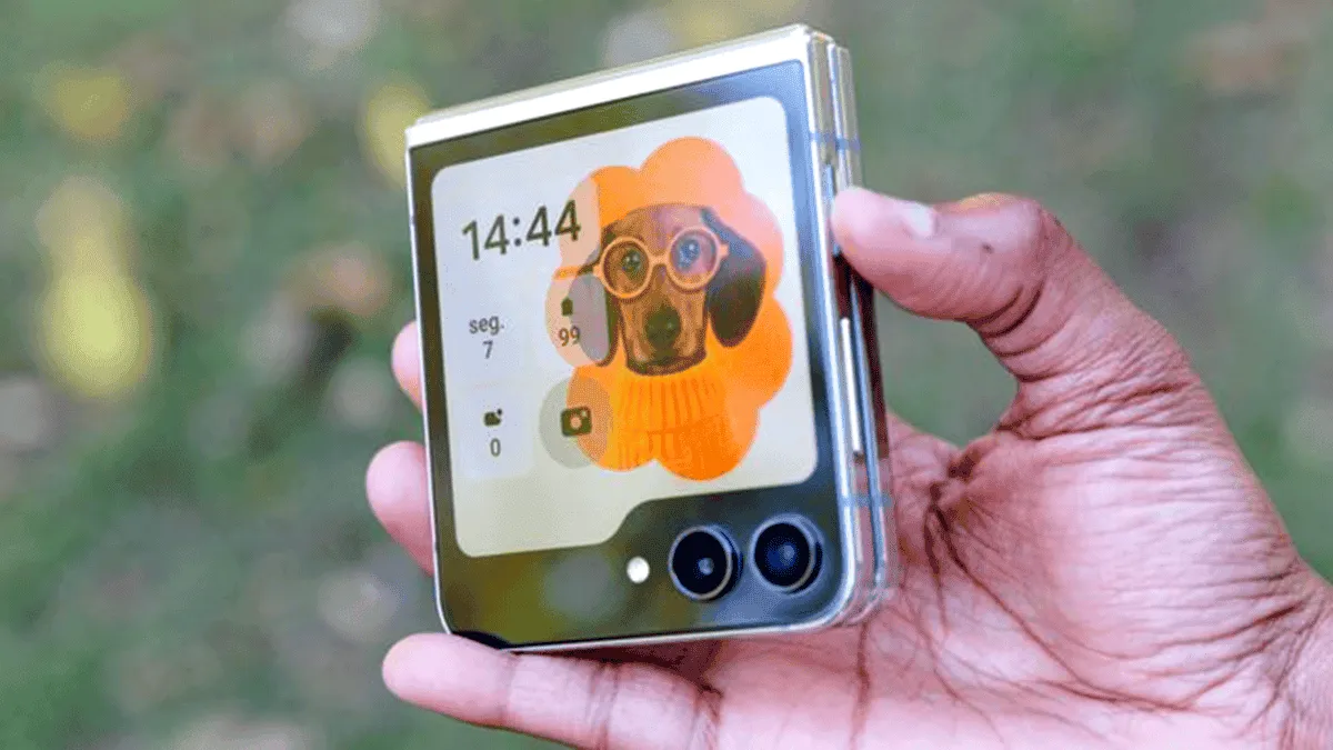 imagem 2024 05 22 161209594