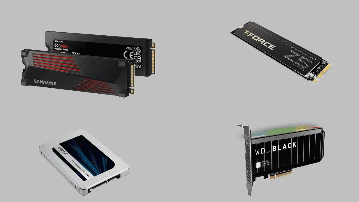 imagem 2024 09 03 010559540