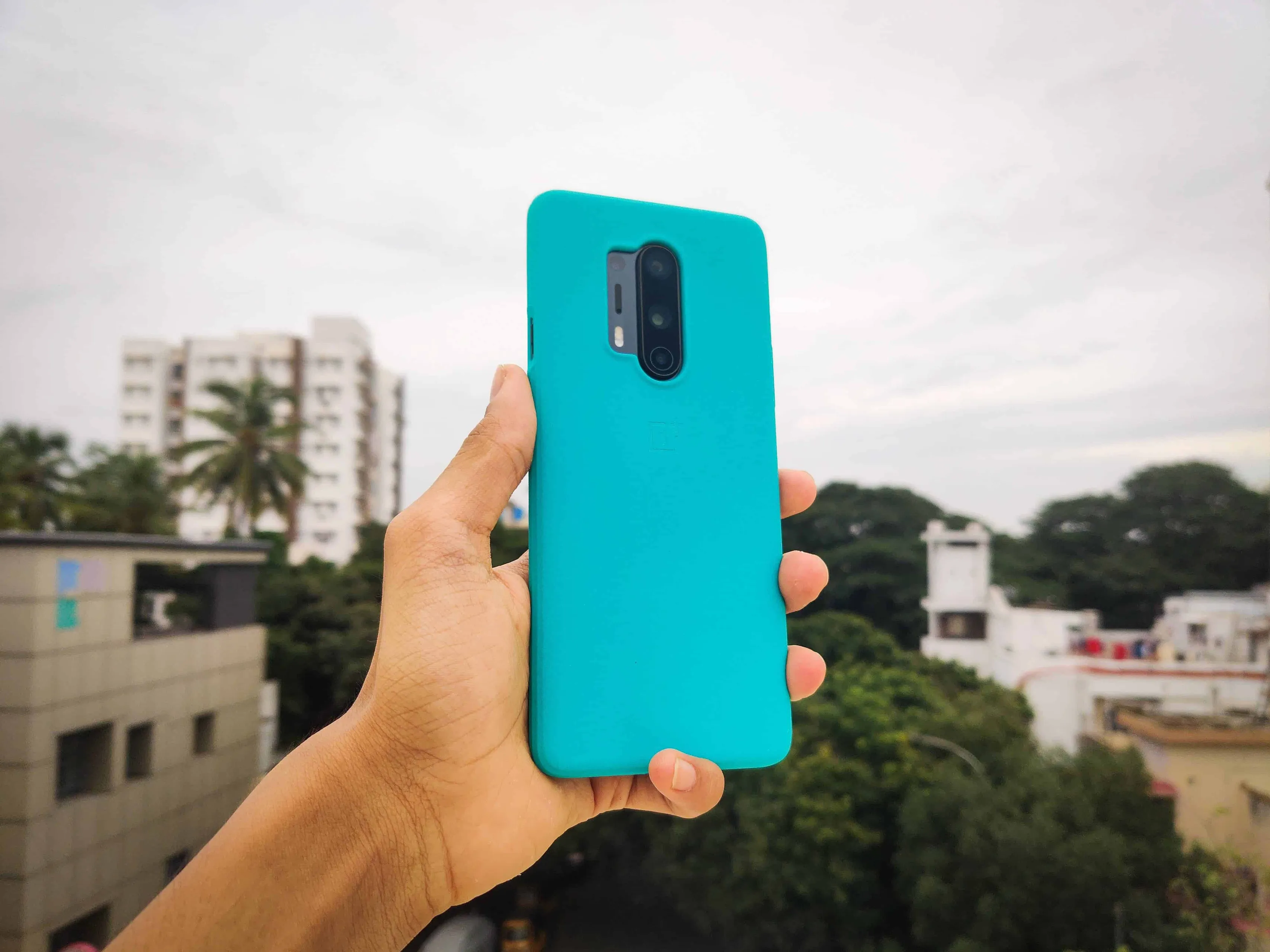 img 20200919 163728 compressed