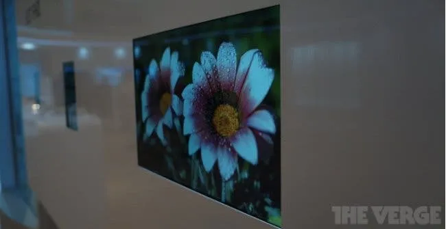 lg 55 inch 1080 display ces