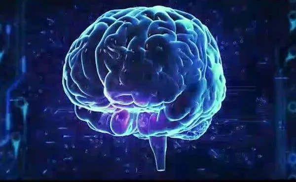 mate 10 ai capabilities 5