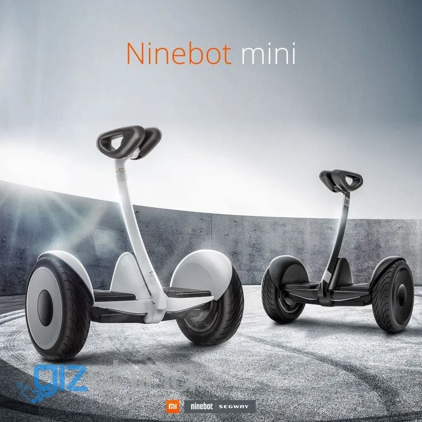 ninebot 1 result