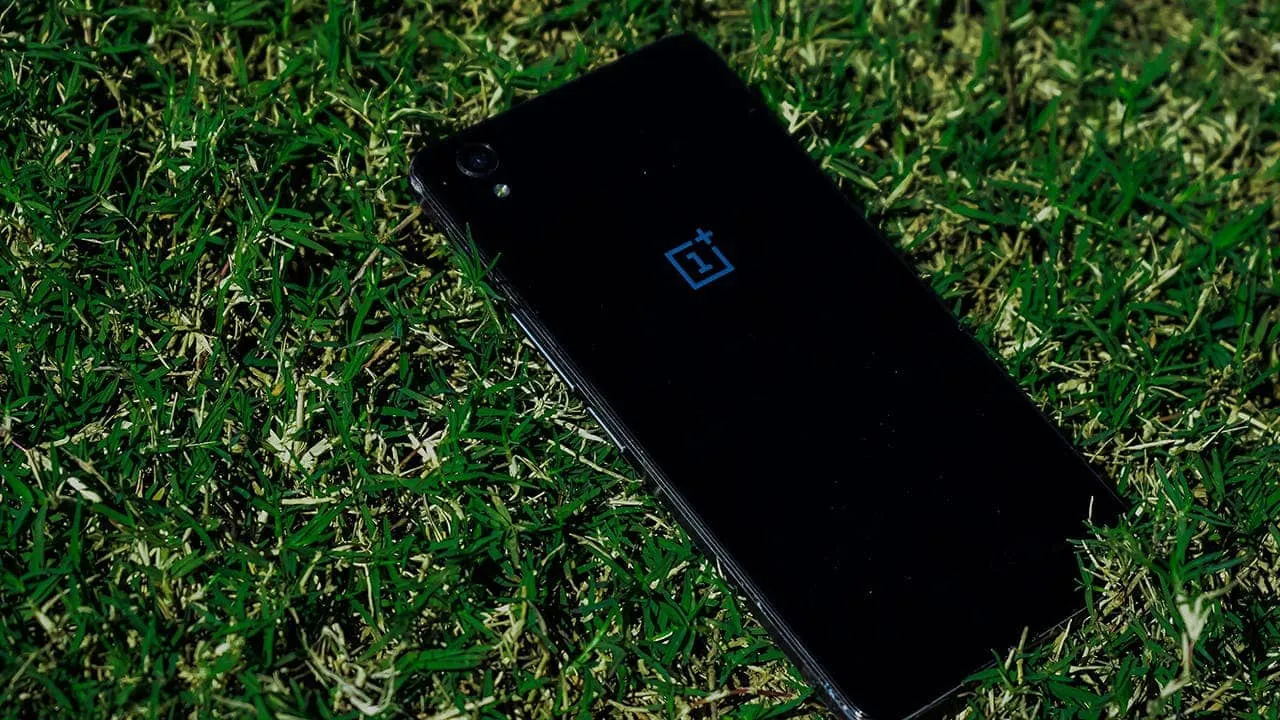 noizy bull ob9dot jv2u unsplash