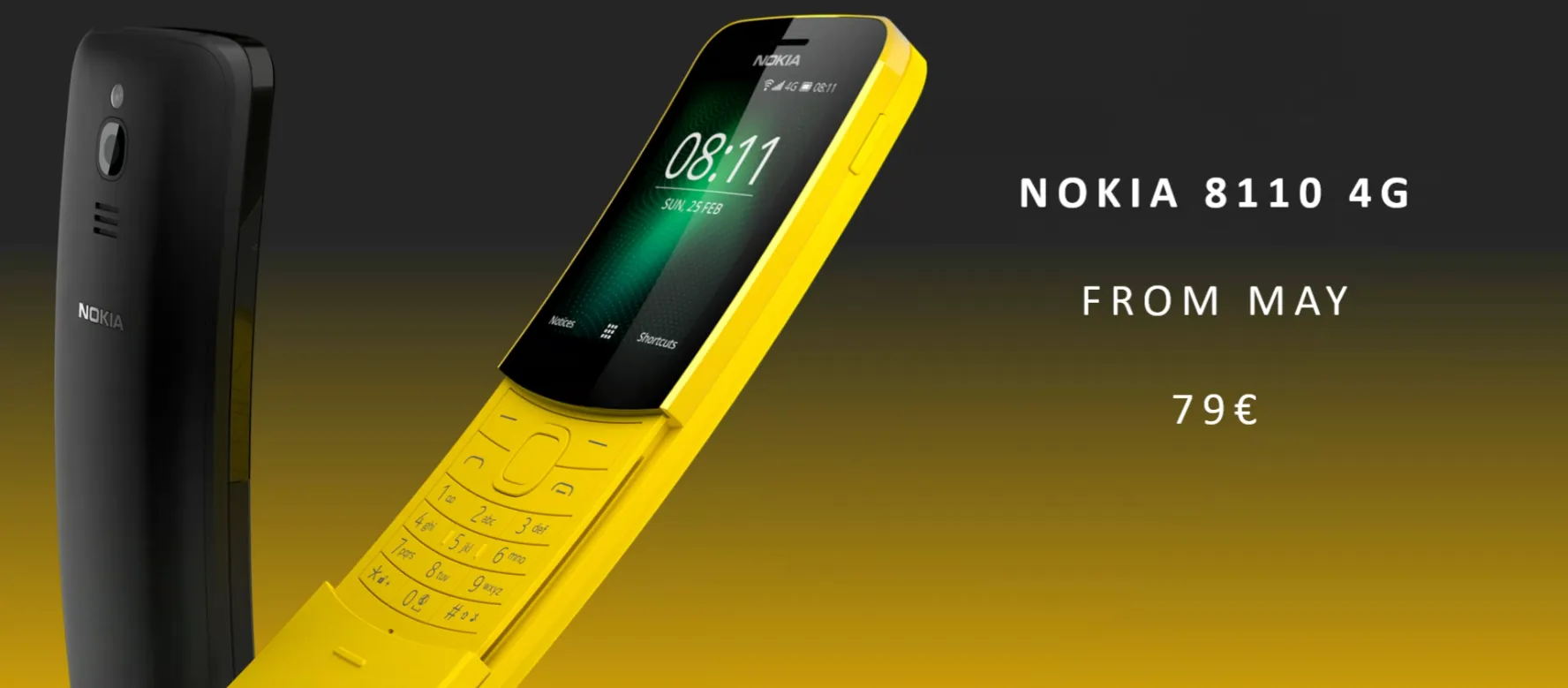 nokia 8110 b