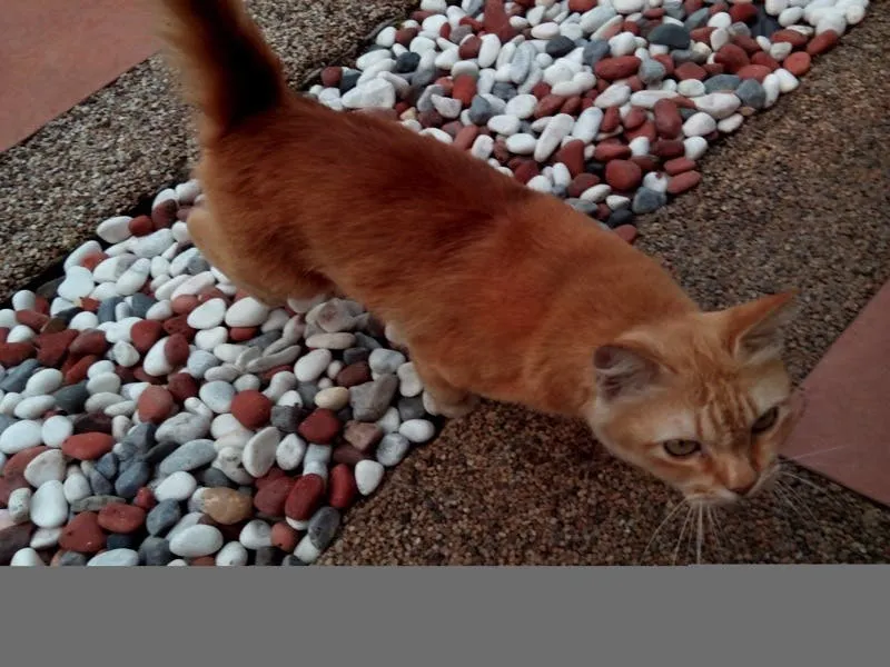 photo 20130624 164825