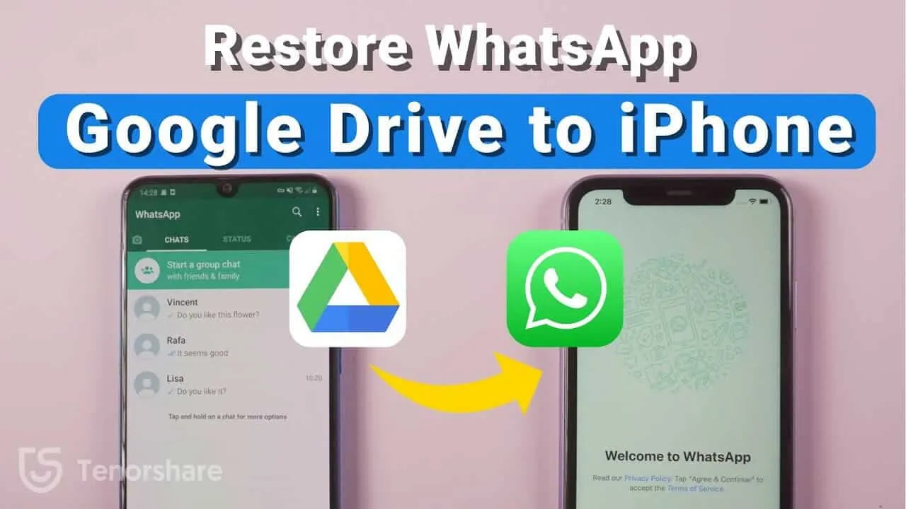 restore whatsapp backup from google drive