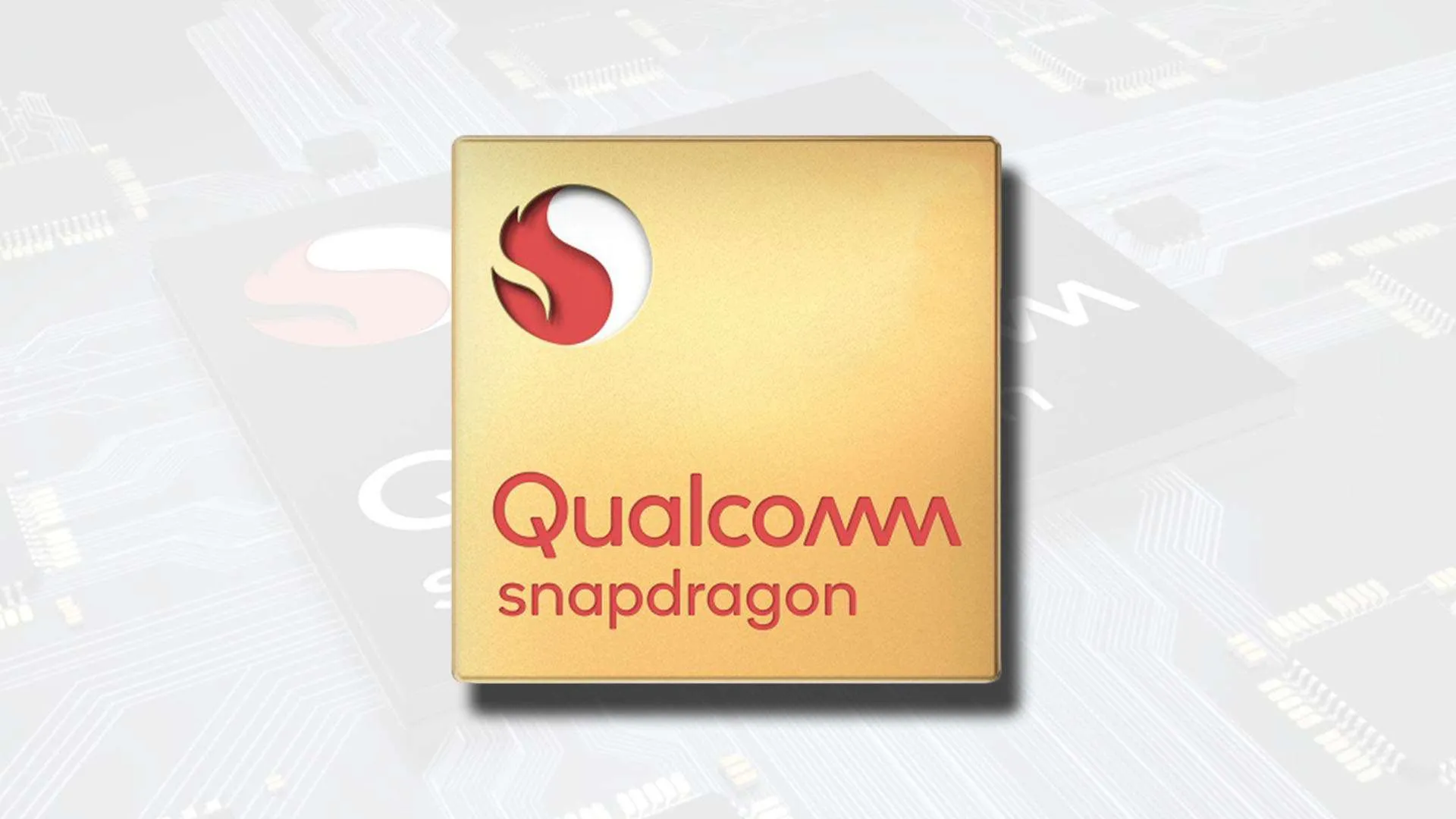 snapdragon