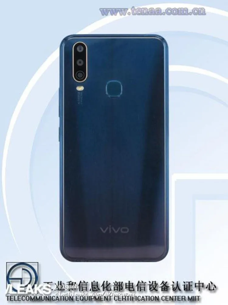 vivo