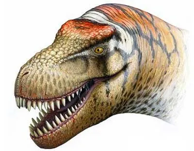 zhuchengtyrannus magnus cro1