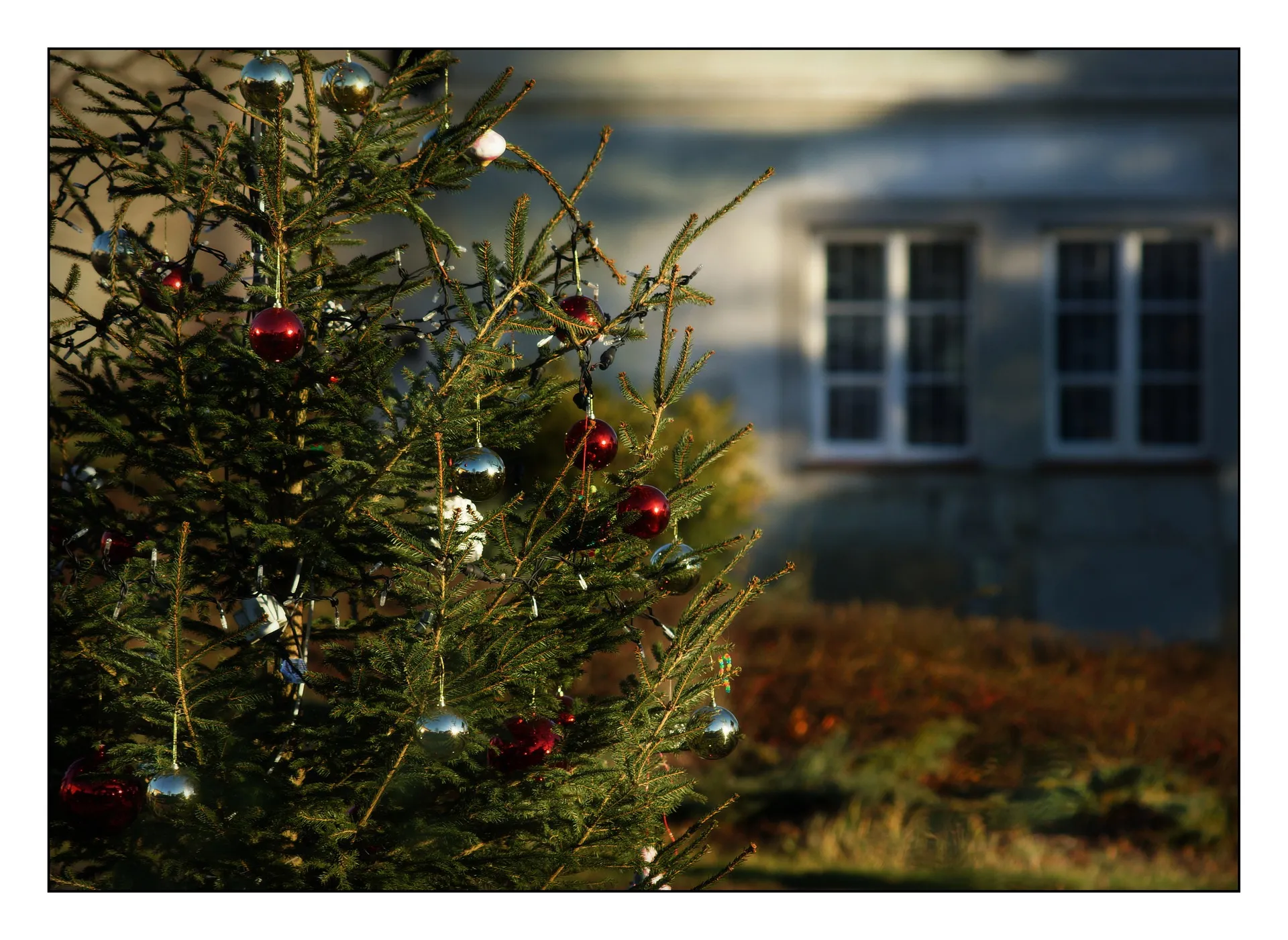 christmas 1101711 1920