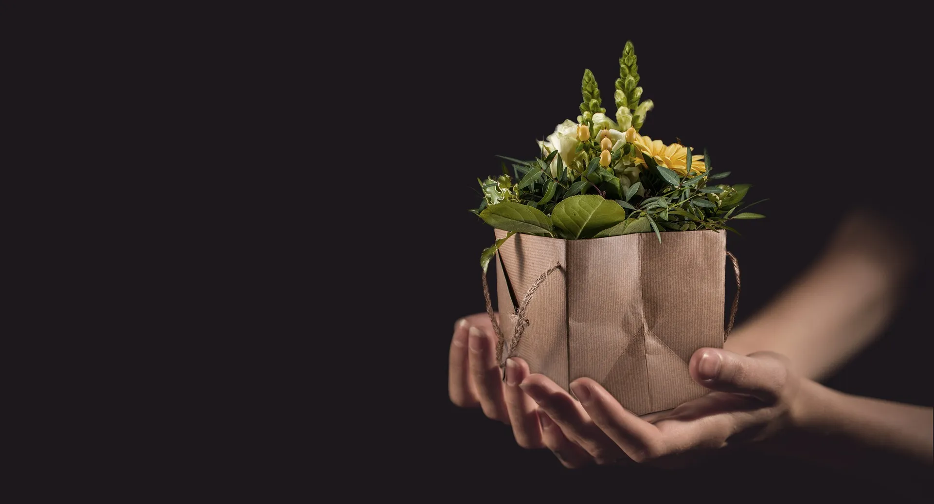 flowers 1338641 1920