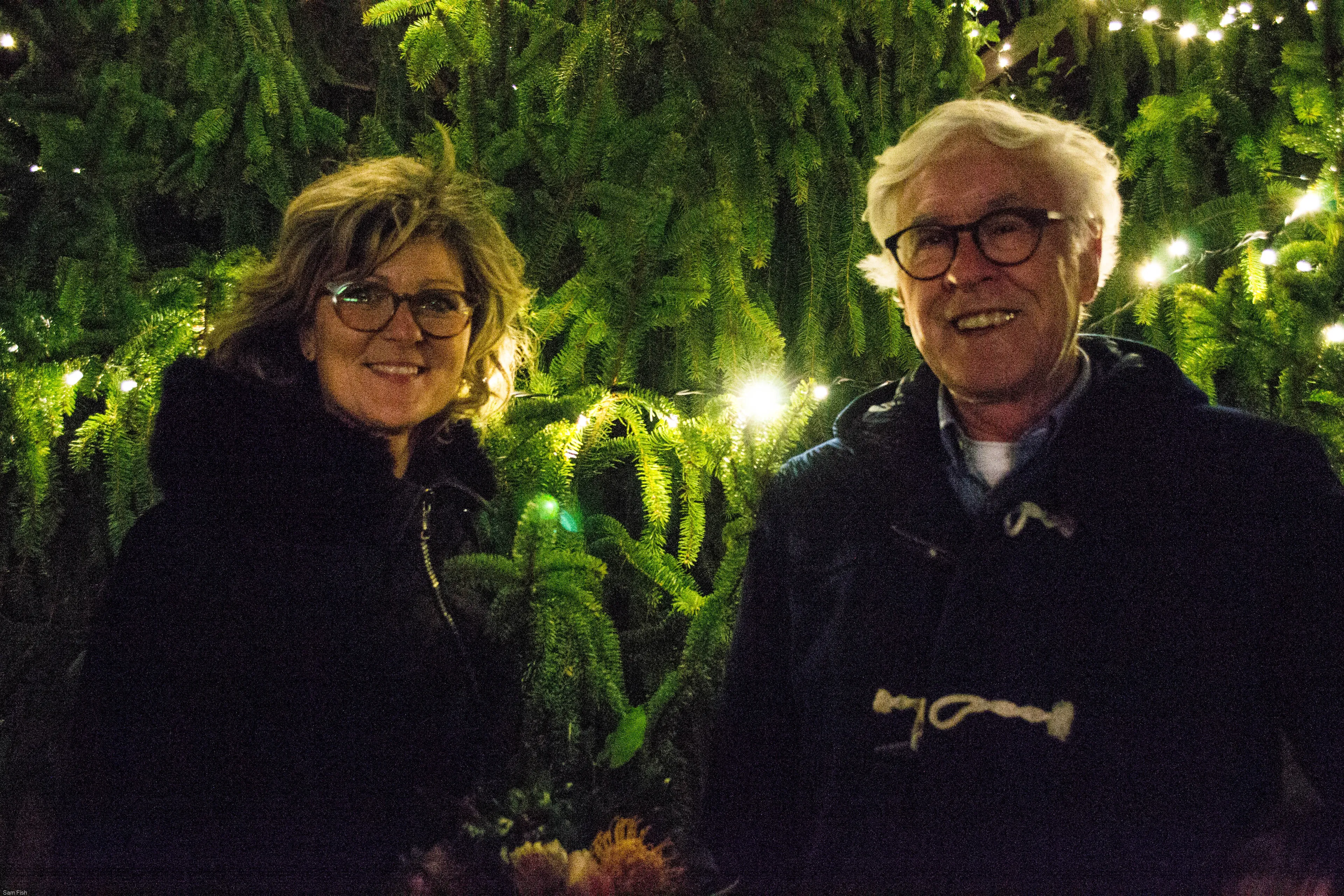 kerstverlichting 3