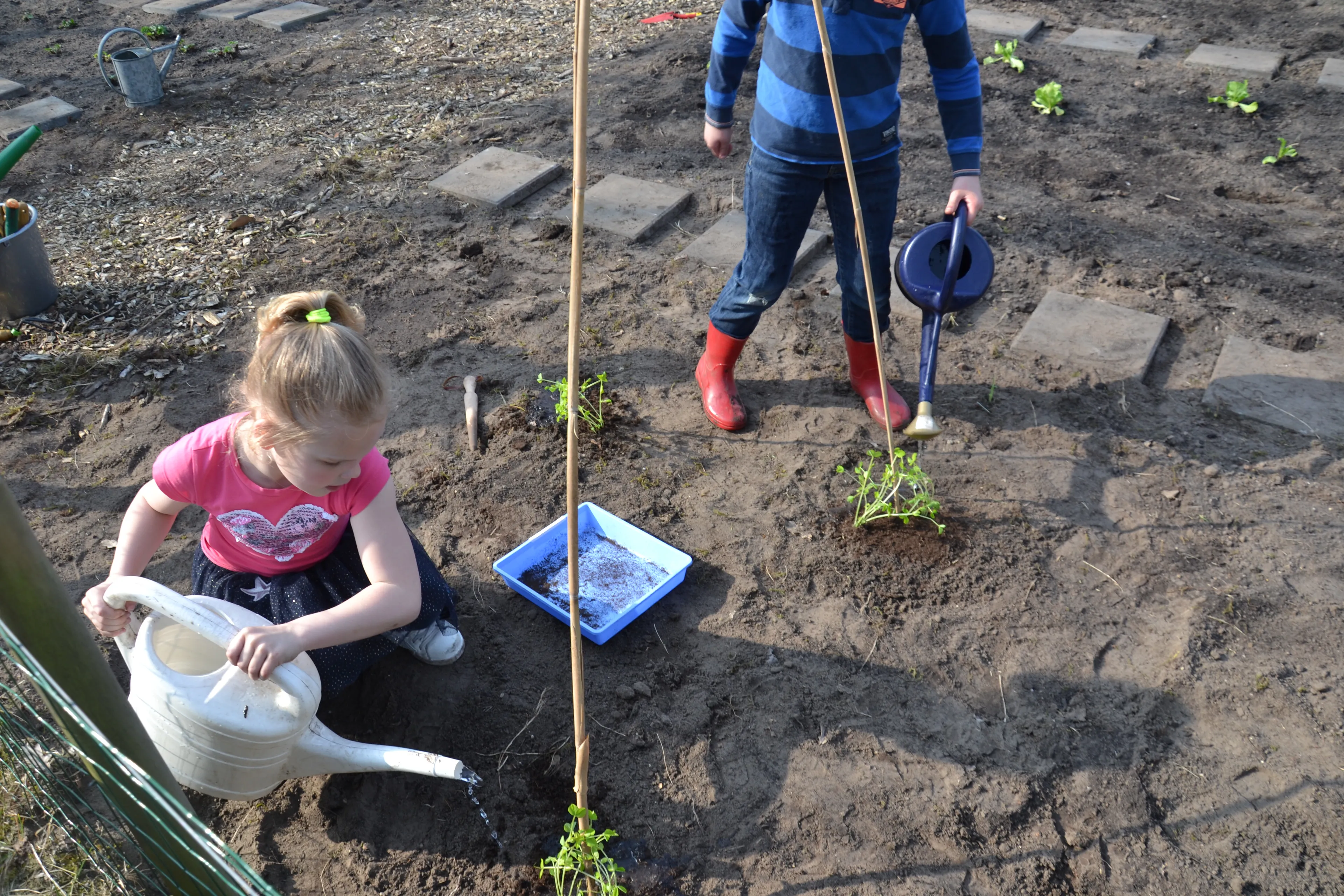 moestuincoach