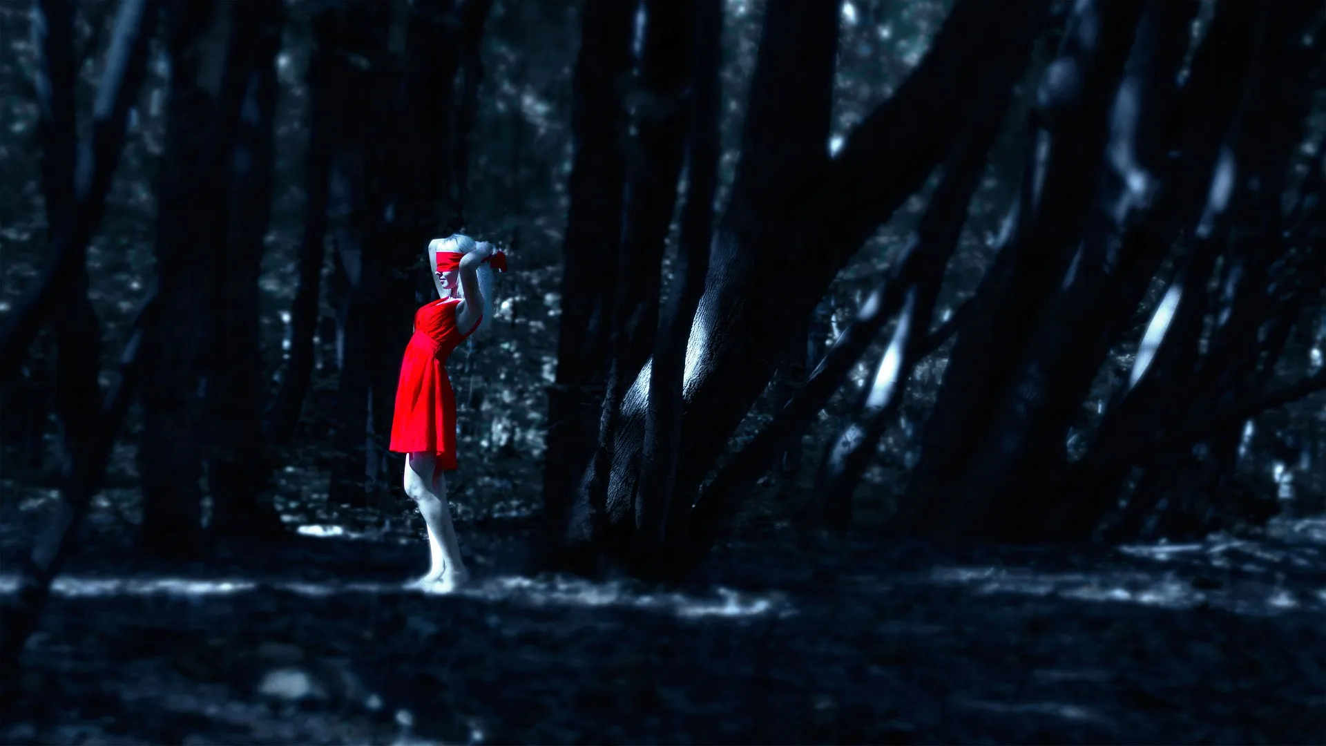 the girl in the red dress in the forest 1388645 1920