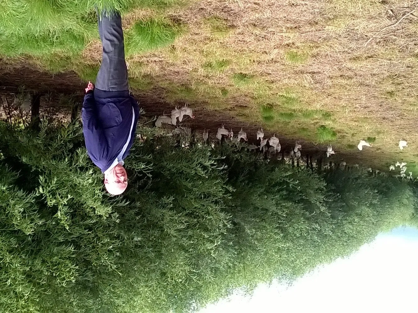 20170812hvdieren bij eibaar e1502886433844