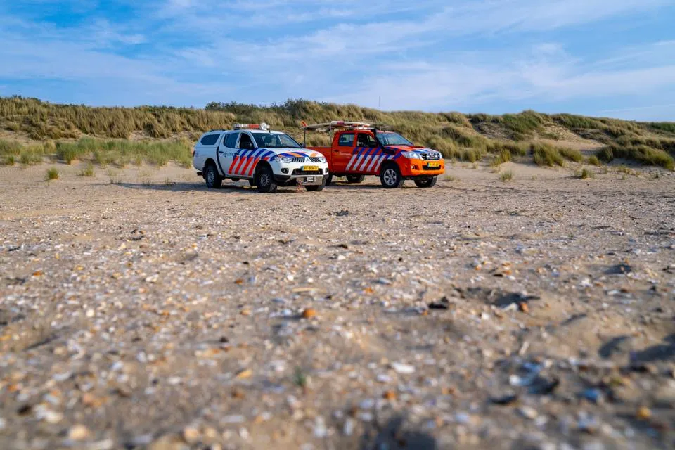 beachalert autos