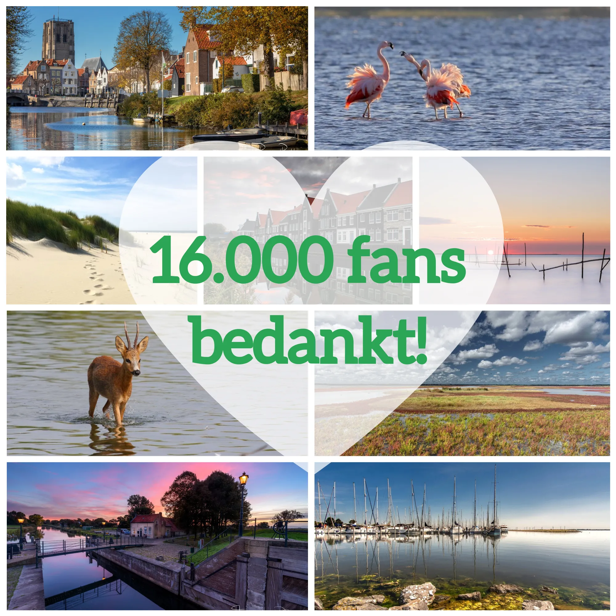 collage 16000 bedankt