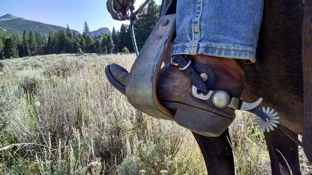 cowboy 2243027 1280