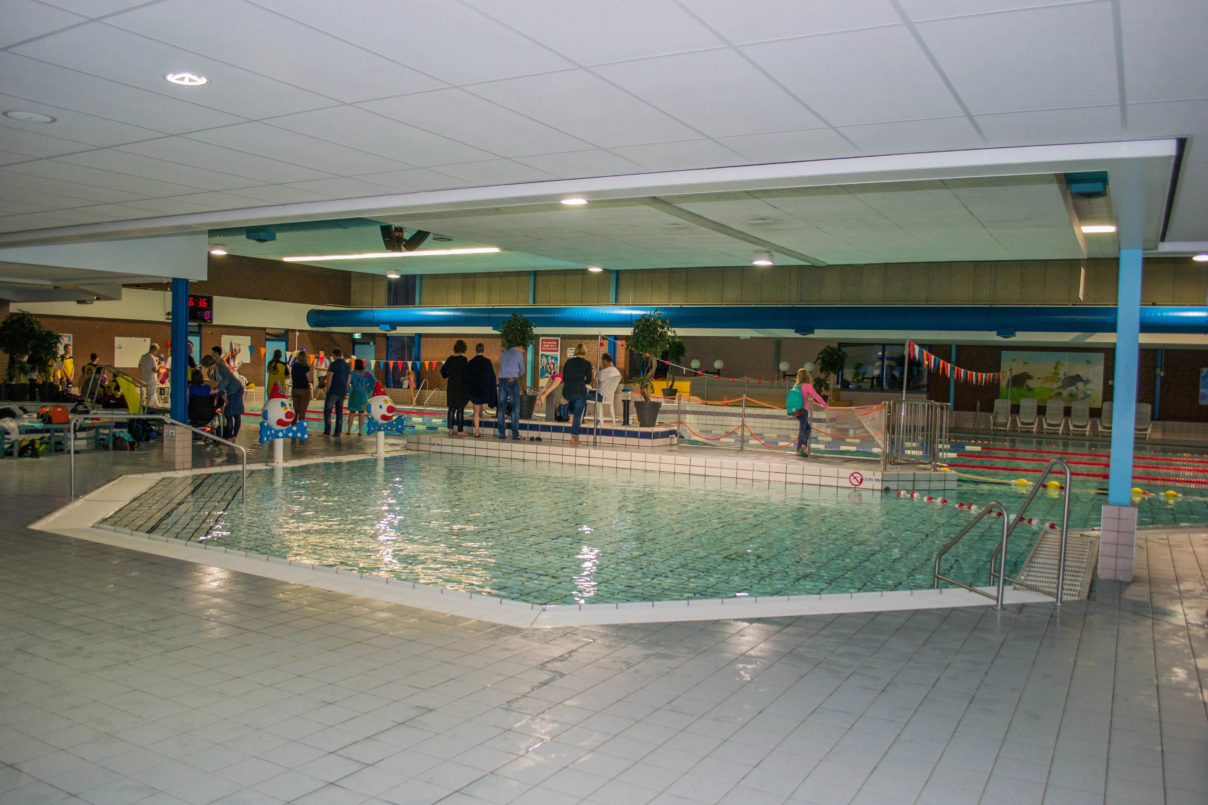 de schotejil 1