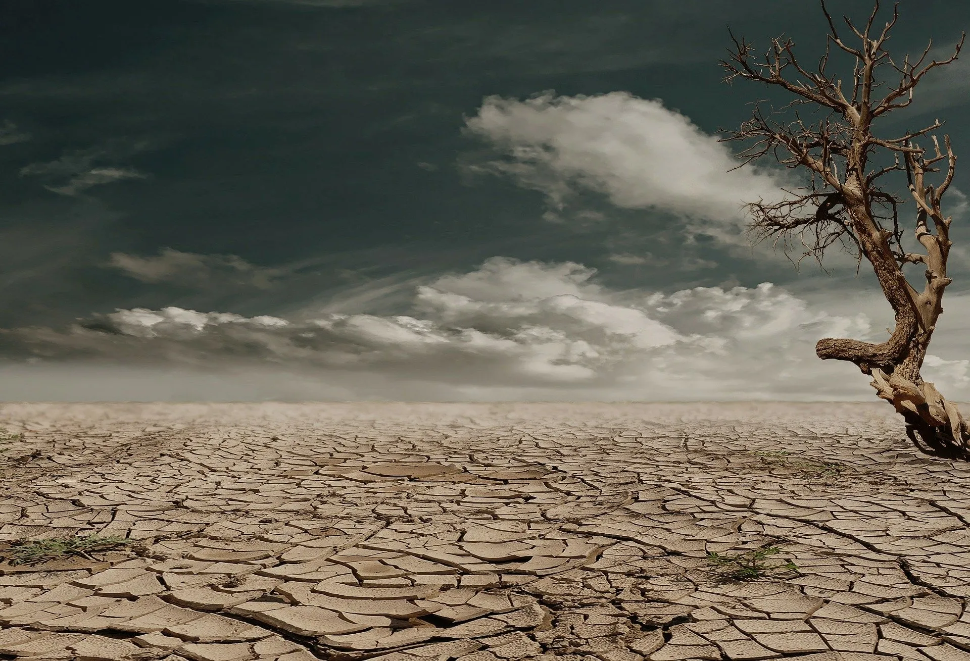 desert 279862 1920
