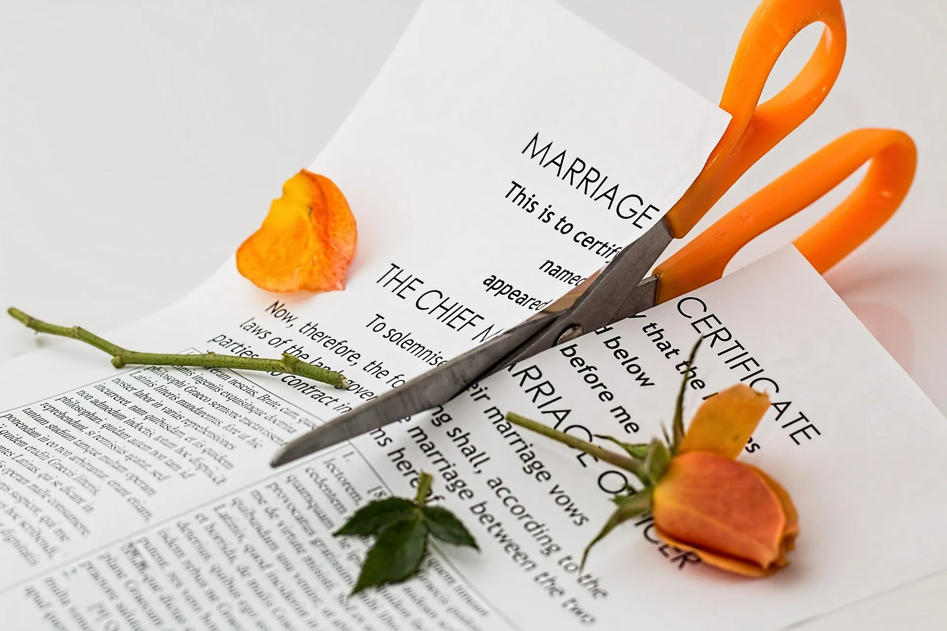 divorce 619195 1920