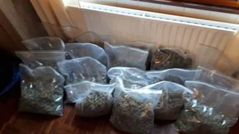 drugs den bommel