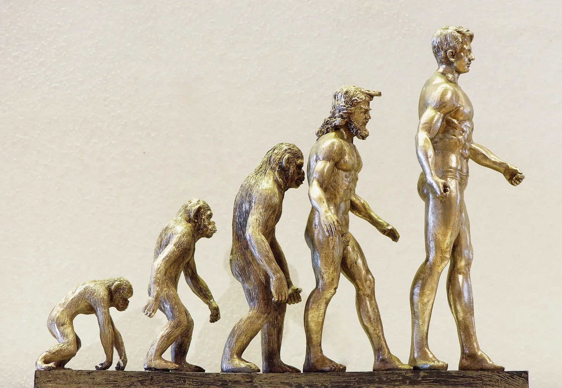 evolution 4107273 1920