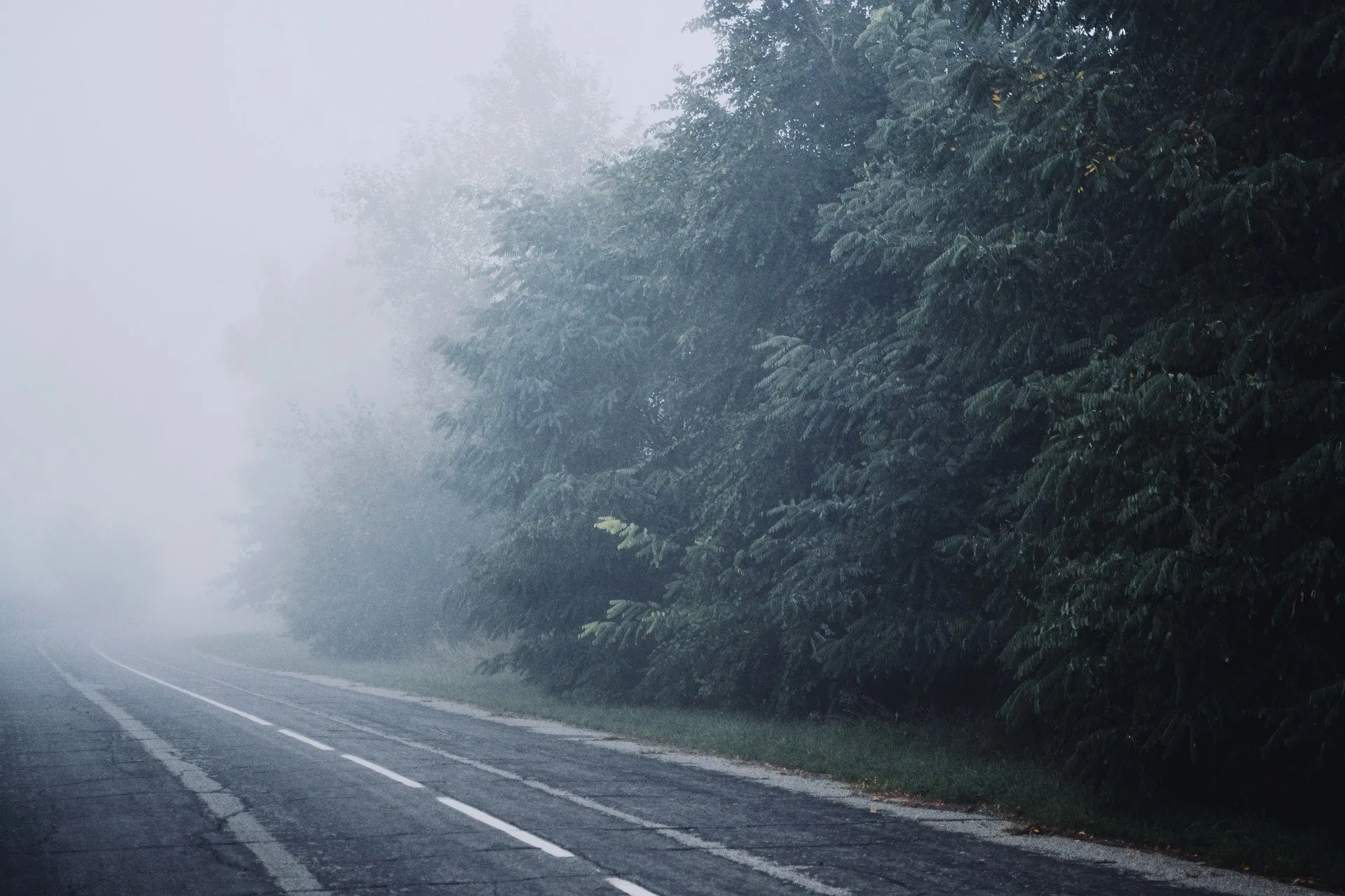 fog g789aea8a3 1920