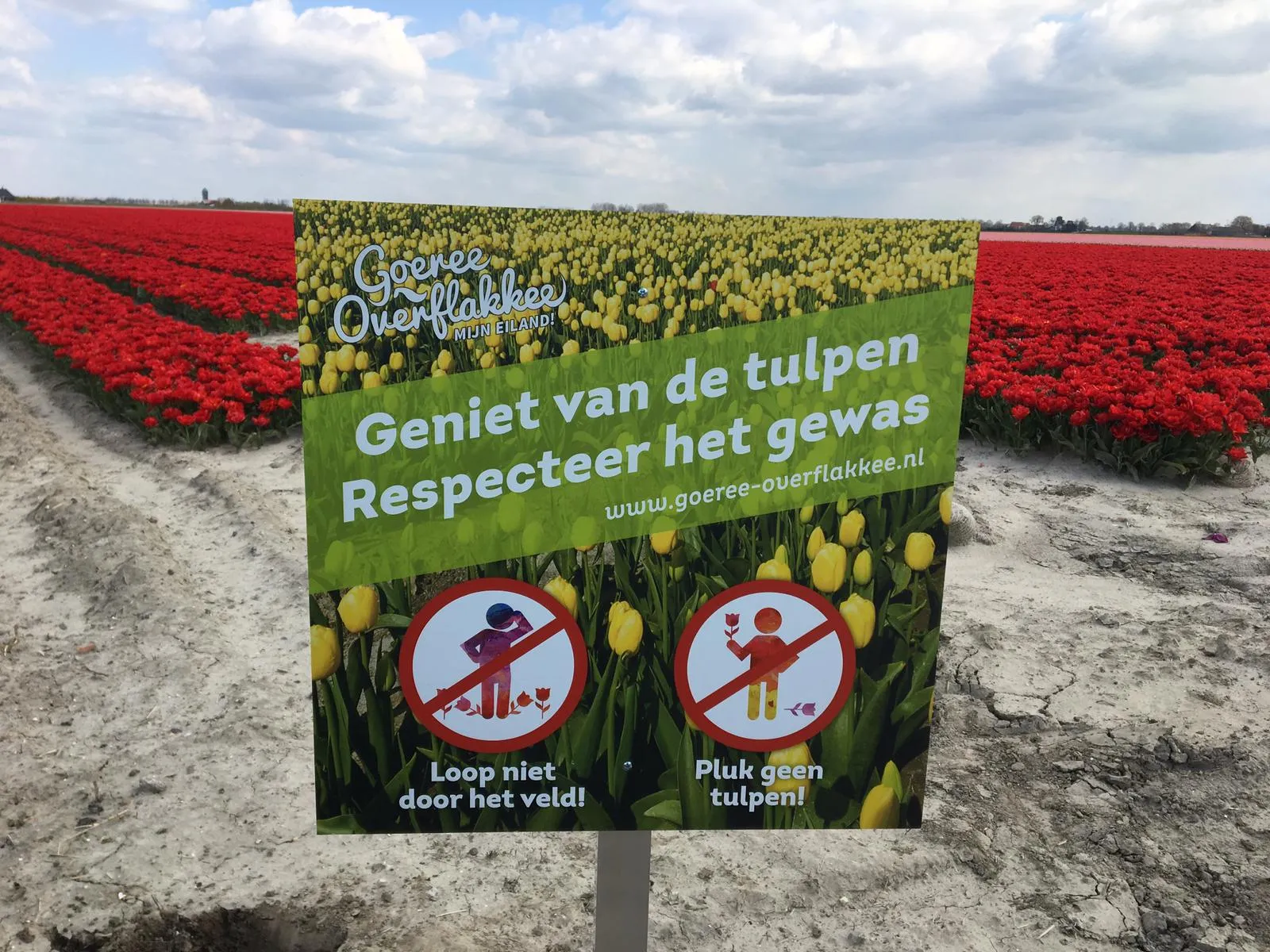 foto bord