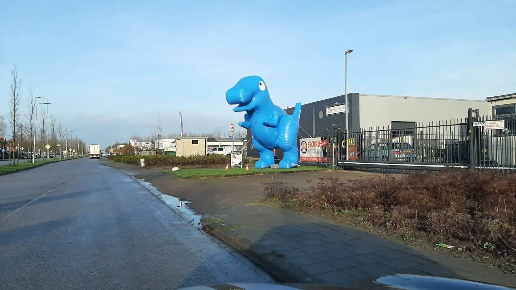 glasvezel dino