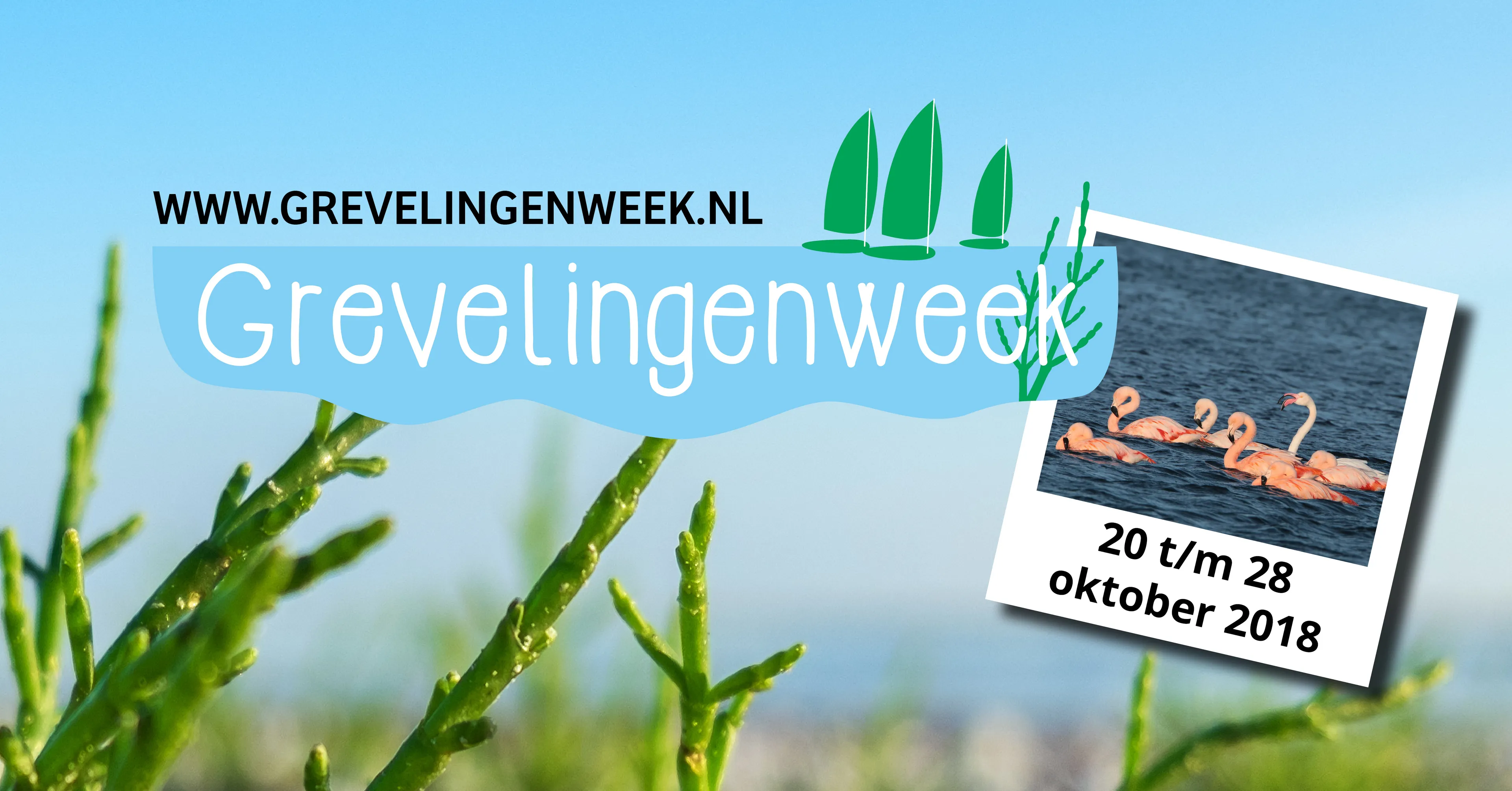 grevelingenweek