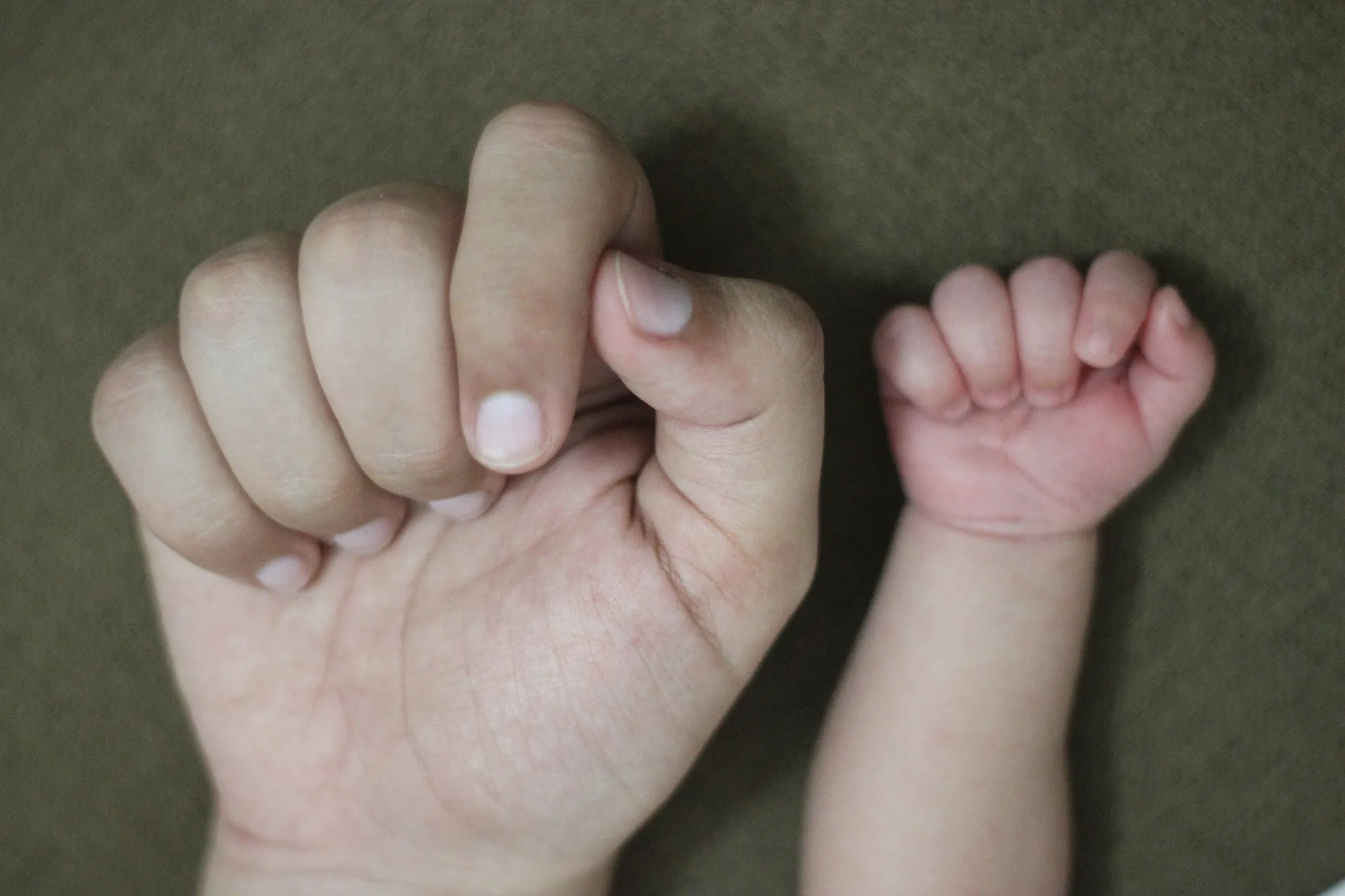 hand 3254008 1920