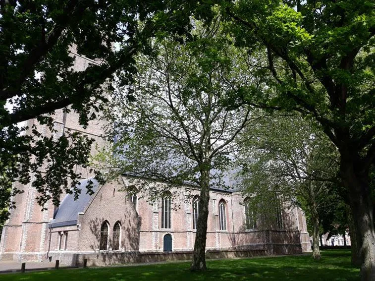 image001