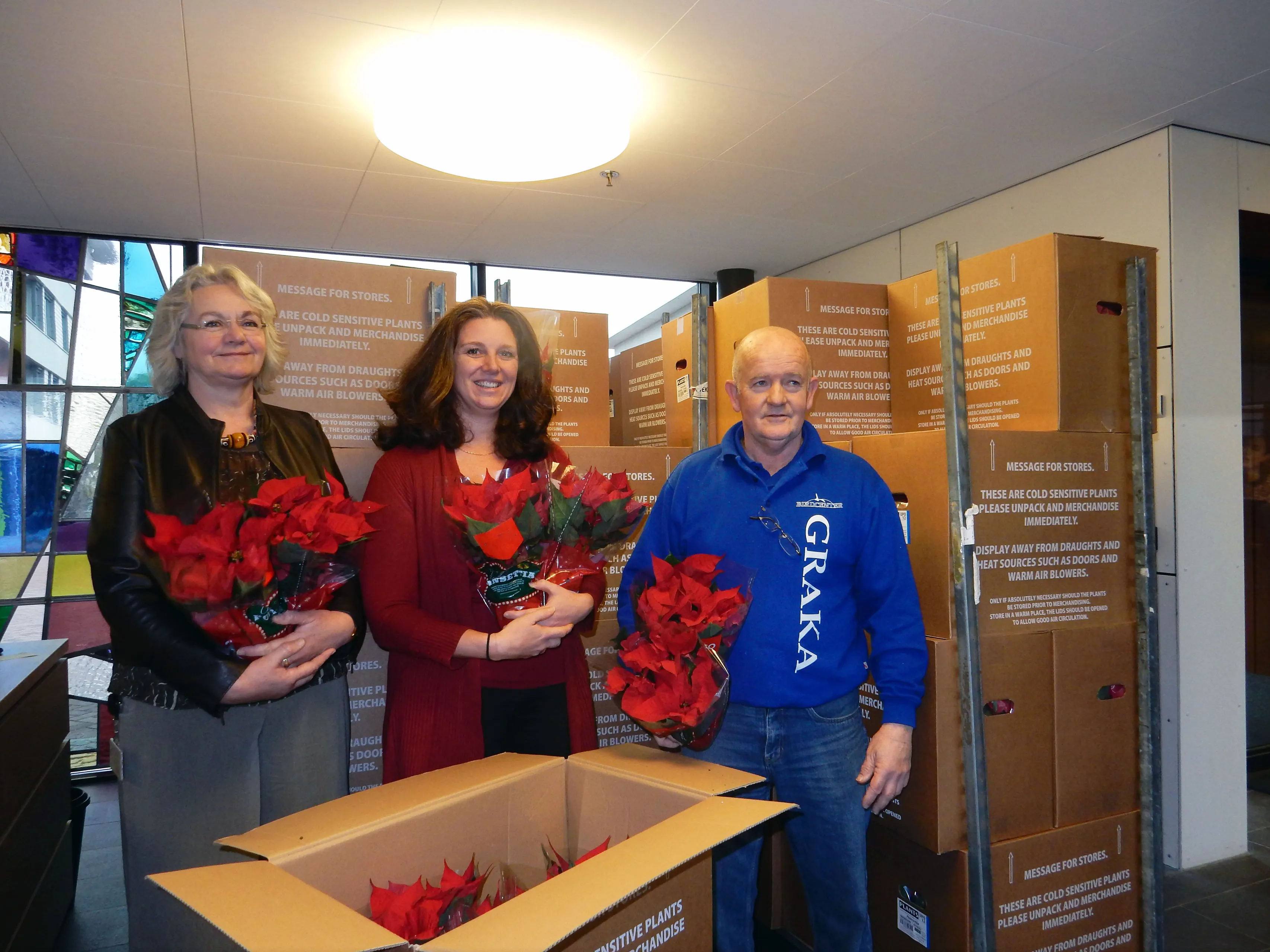 kerststerren voor nieuw rijsenburgh