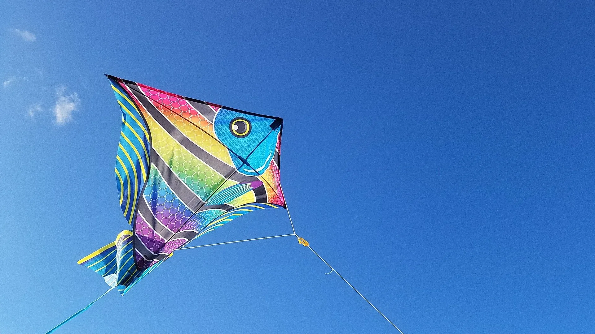 kite 2160948 1920