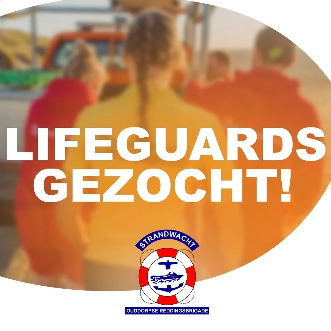 lifeguards gezocht